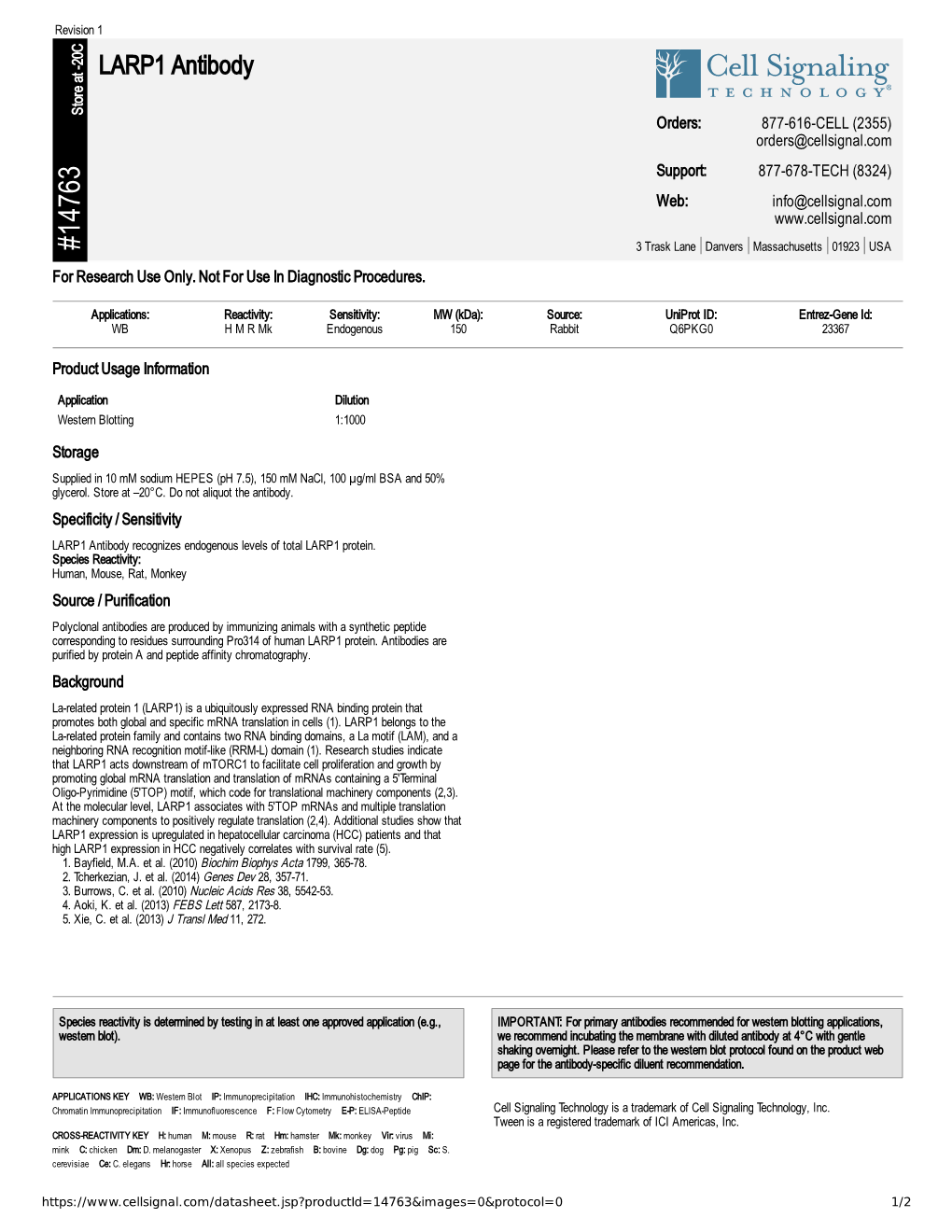 14763 LARP1 Antibody