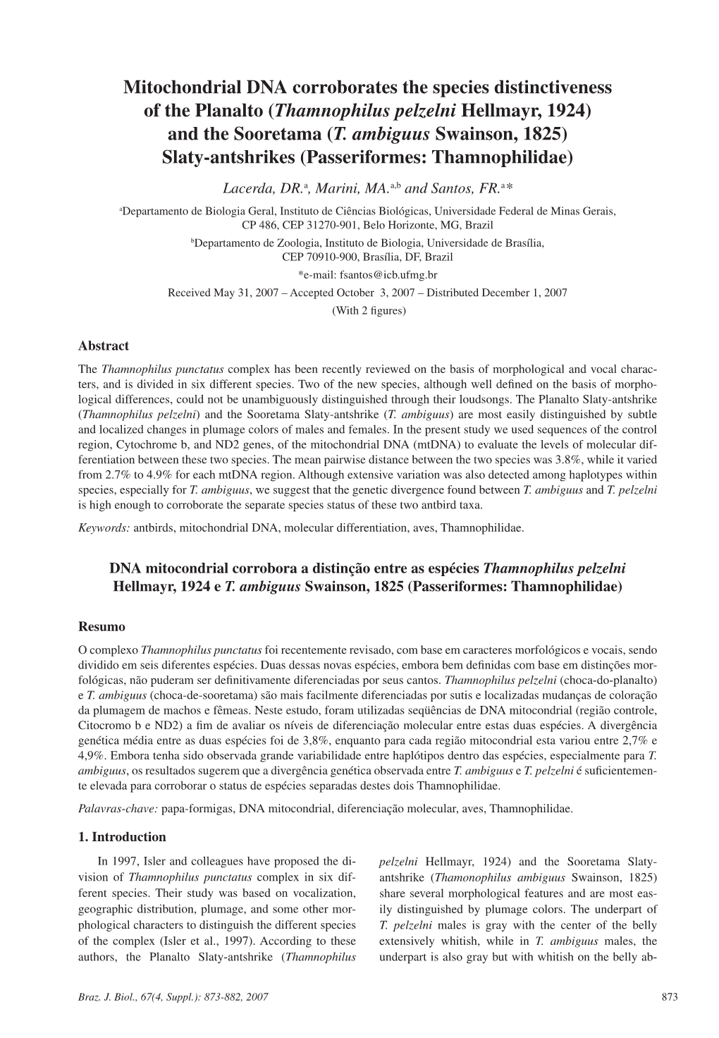 (Thamnophilus Pelzelni Hellmayr, 1924) and the Sooretama (T