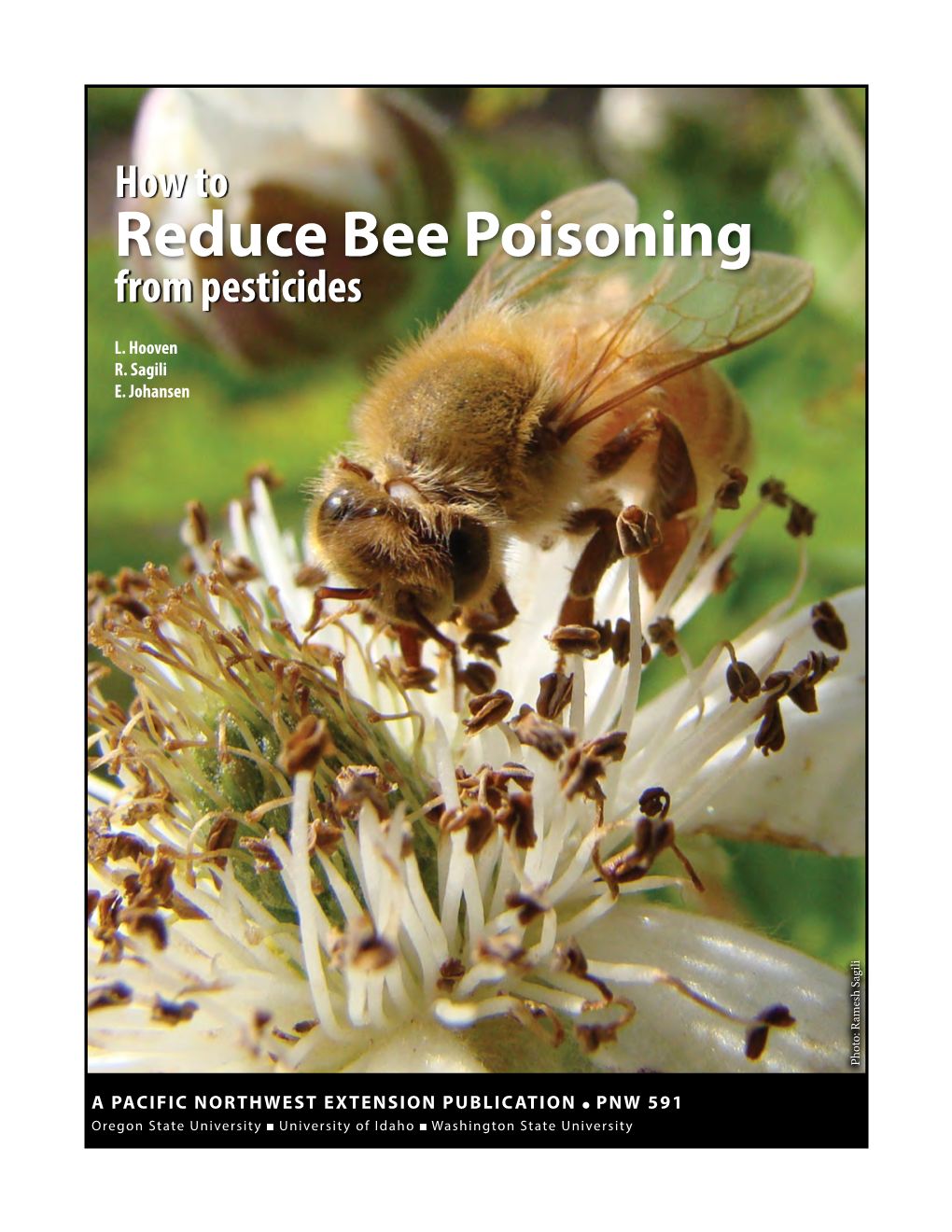 How to Reduce Bee Poisoning from Pesticides