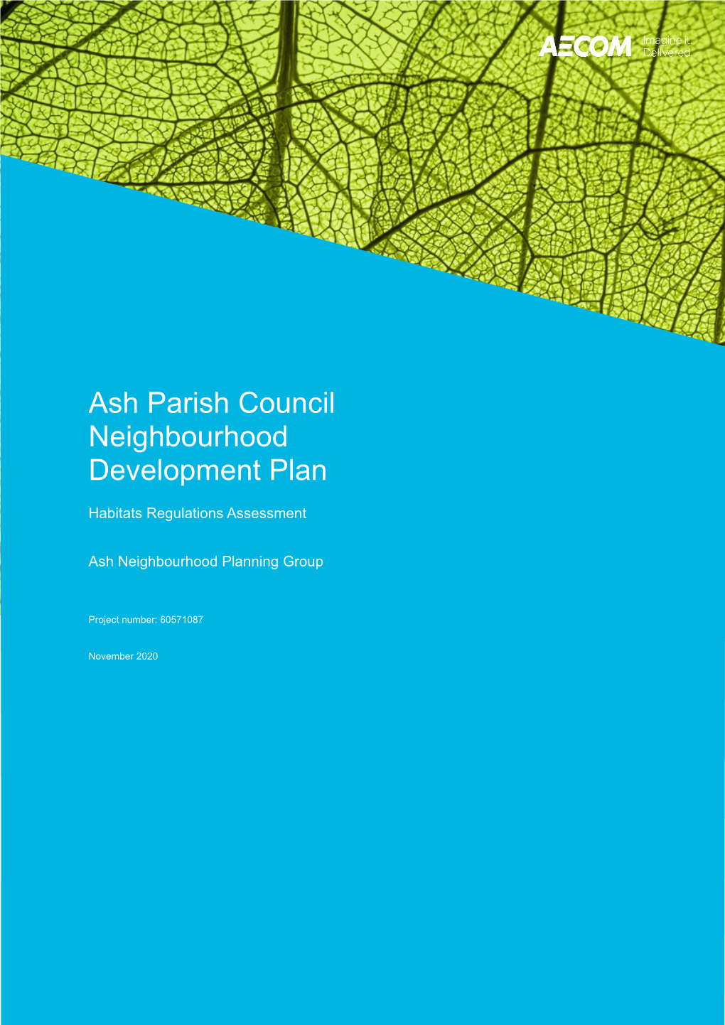 Ash Parish Council Neighbourhood Development Plan