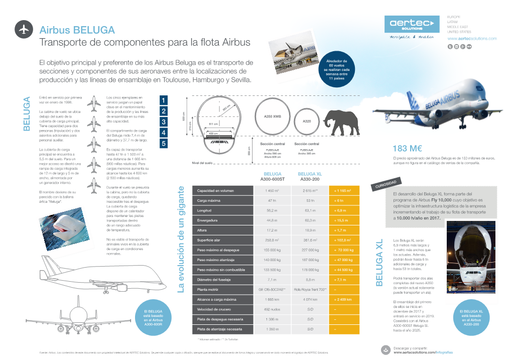 Airbus BELUGA Transporte De Componentes Para La Flota Airbus