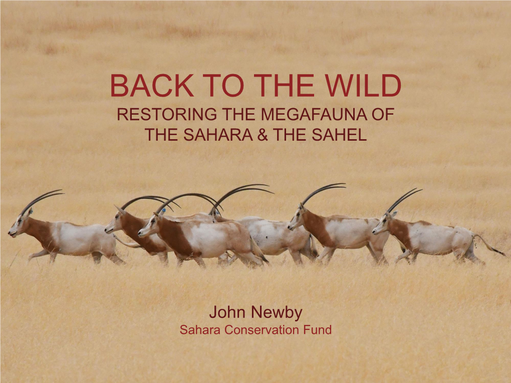 The Wild Restoring the Megafauna of the Sahara & the Sahel