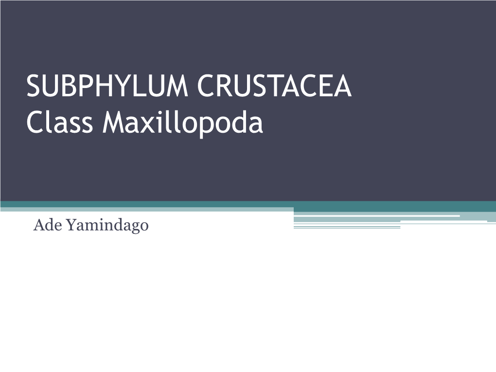 SUBPHYLUM CRUSTACEA Class Maxillopoda