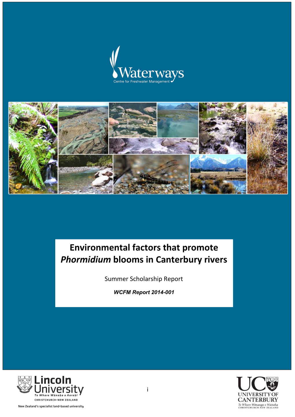 Environmental Factors That Promote Phormidium Blooms in Canterbury Rivers