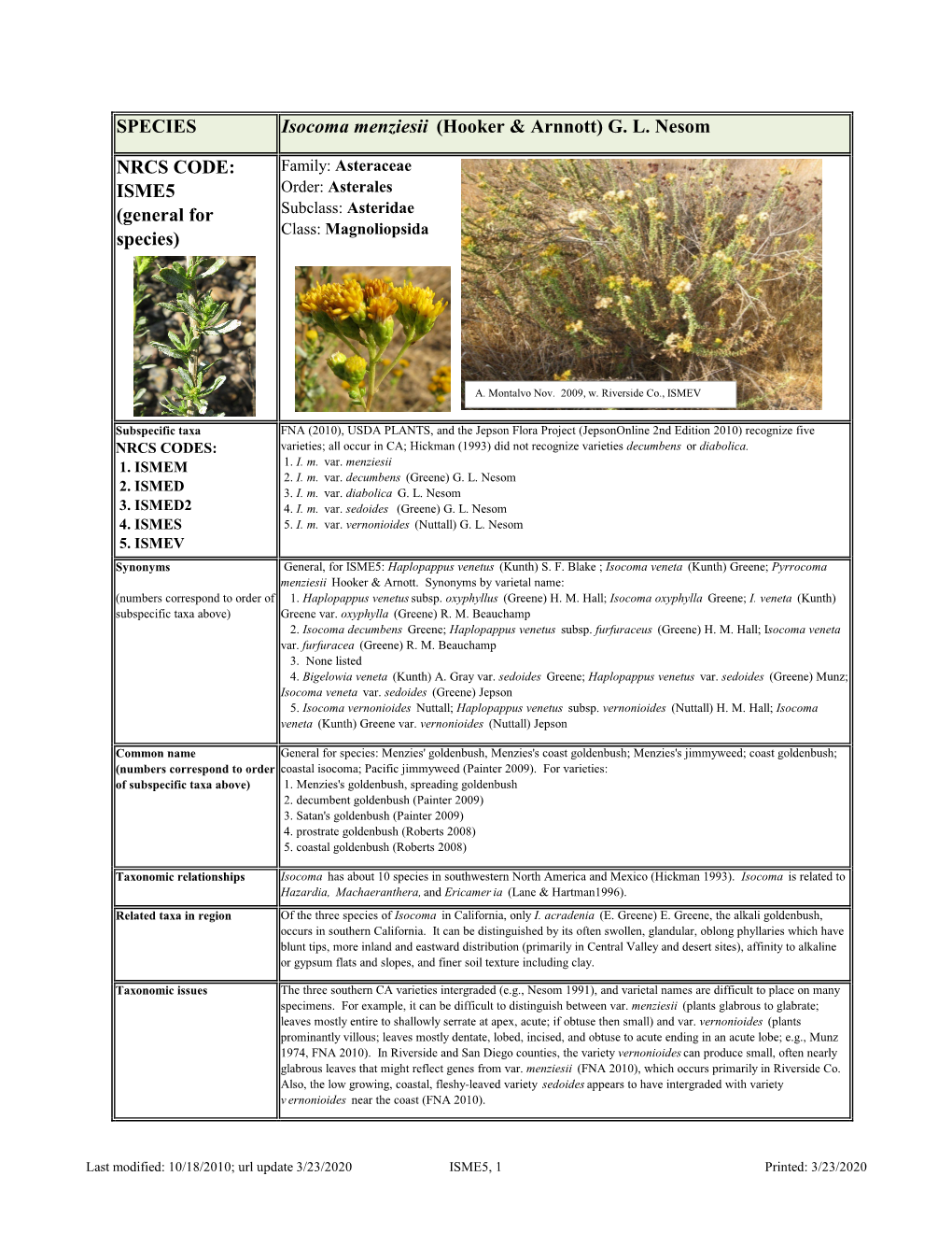 Isocoma Menziesii (Hooker & Arnnott) G