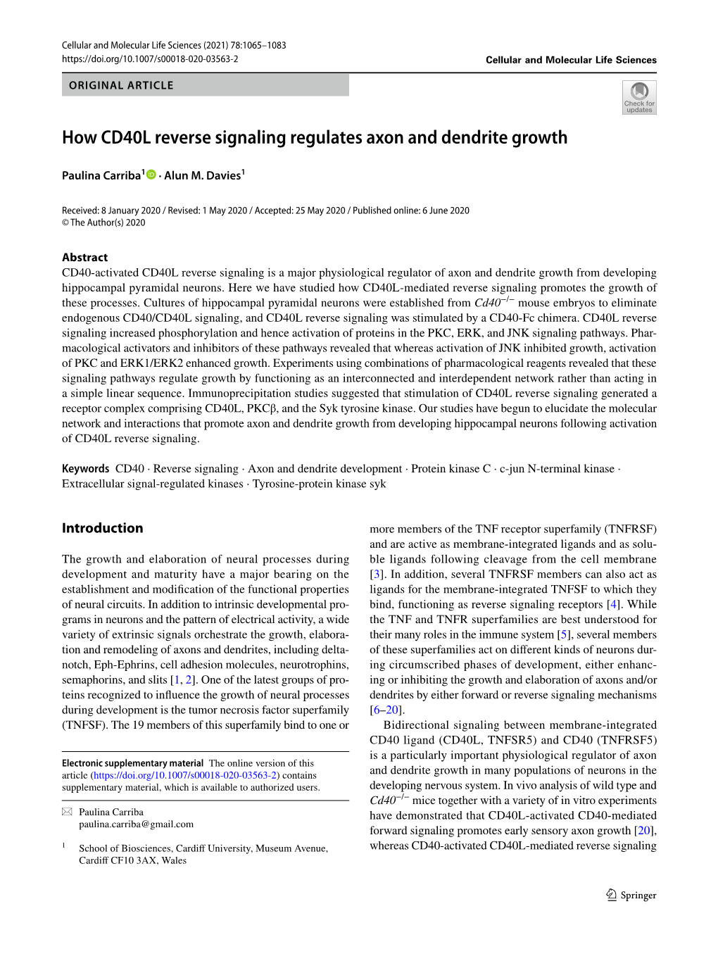 How CD40L Reverse Signaling Regulates Axon and Dendrite Growth