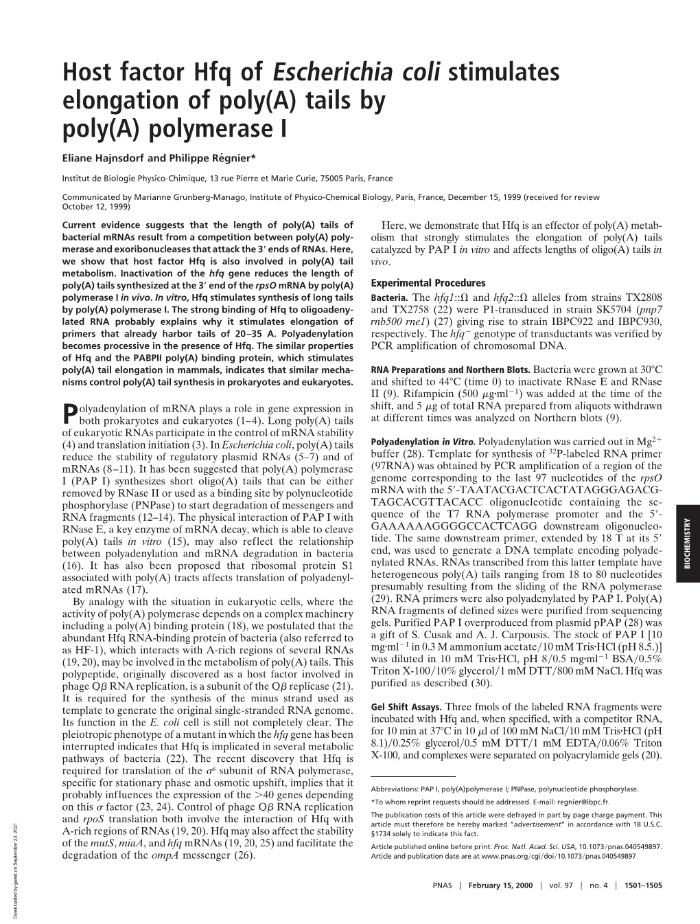 Polymerase I