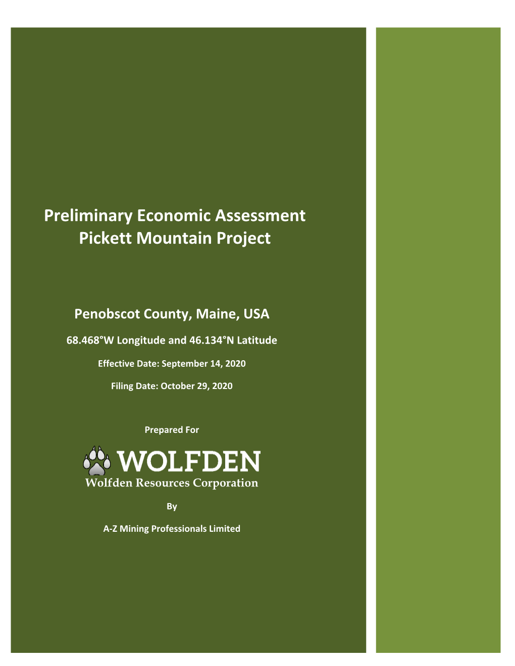 Preliminary Economic Assessment Pickett Mountain Project
