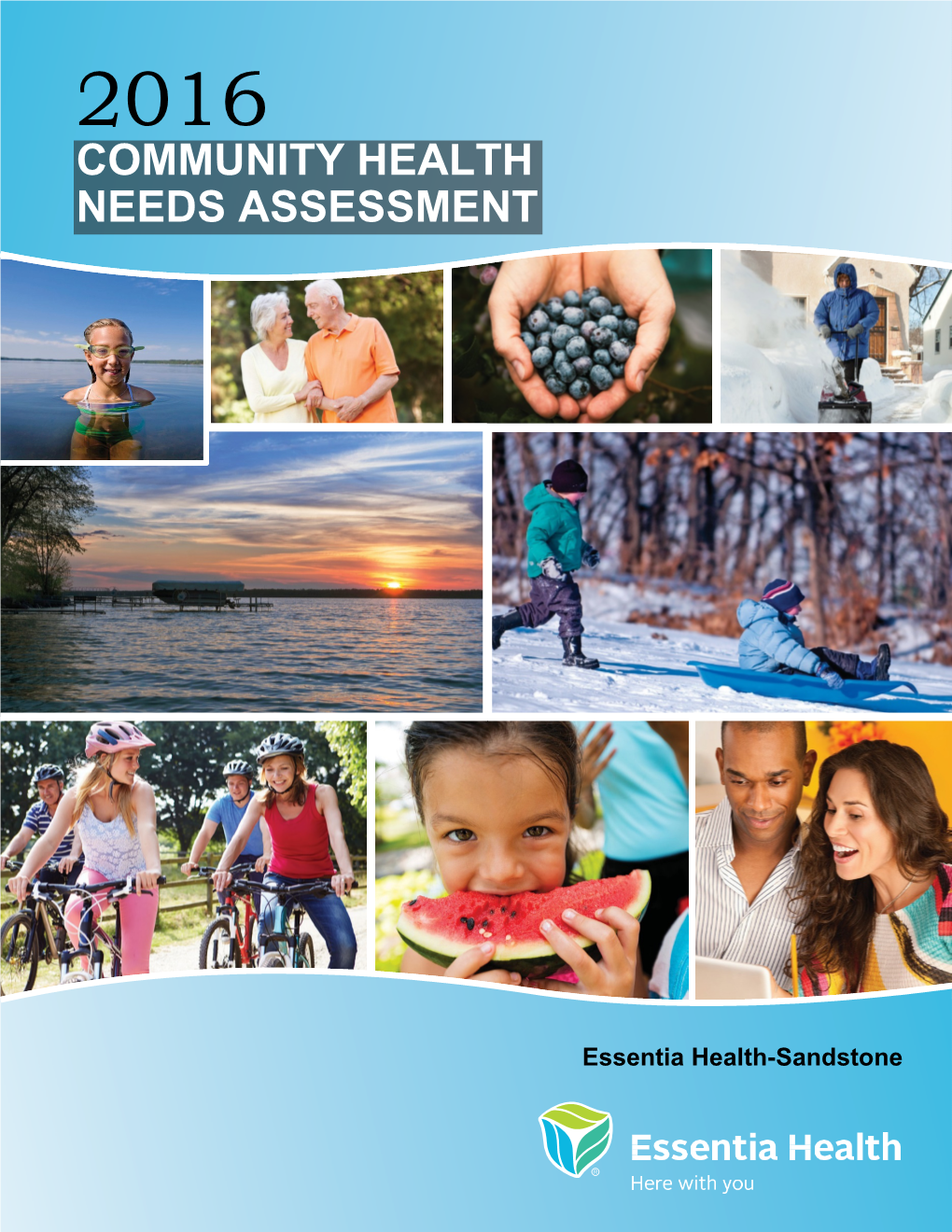 2016 COMMUNITY HEALTH NEEDS ASSESSMENT (Sandstone-Chna)