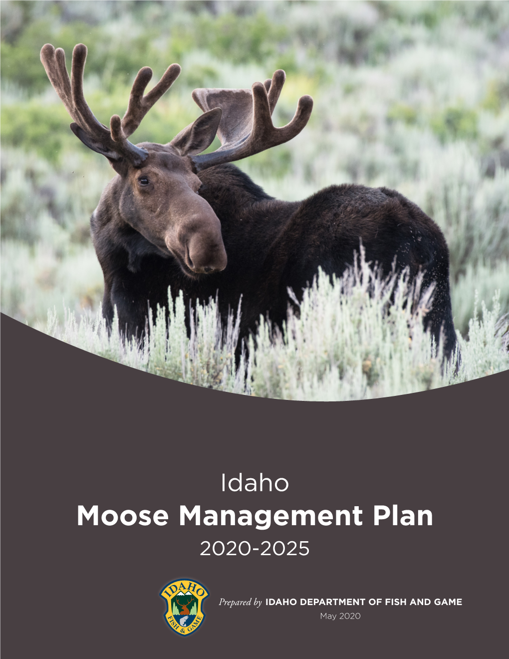 Moose Management Plan 2020-2025