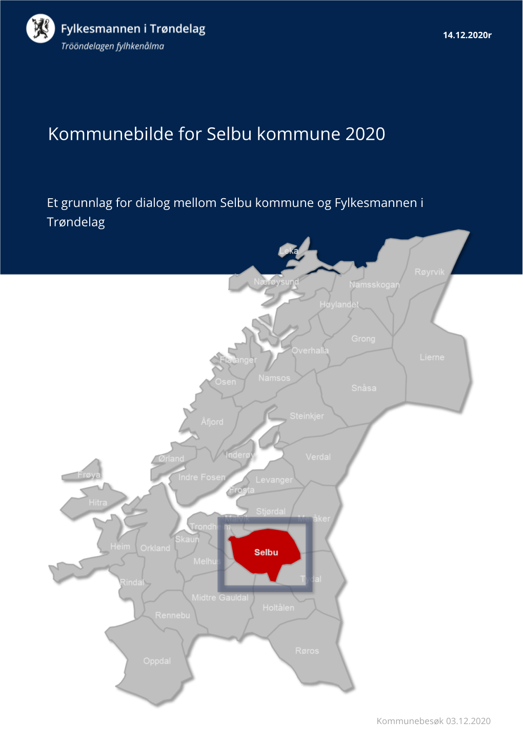 Kommunebilde for Selbu Kommune 2020