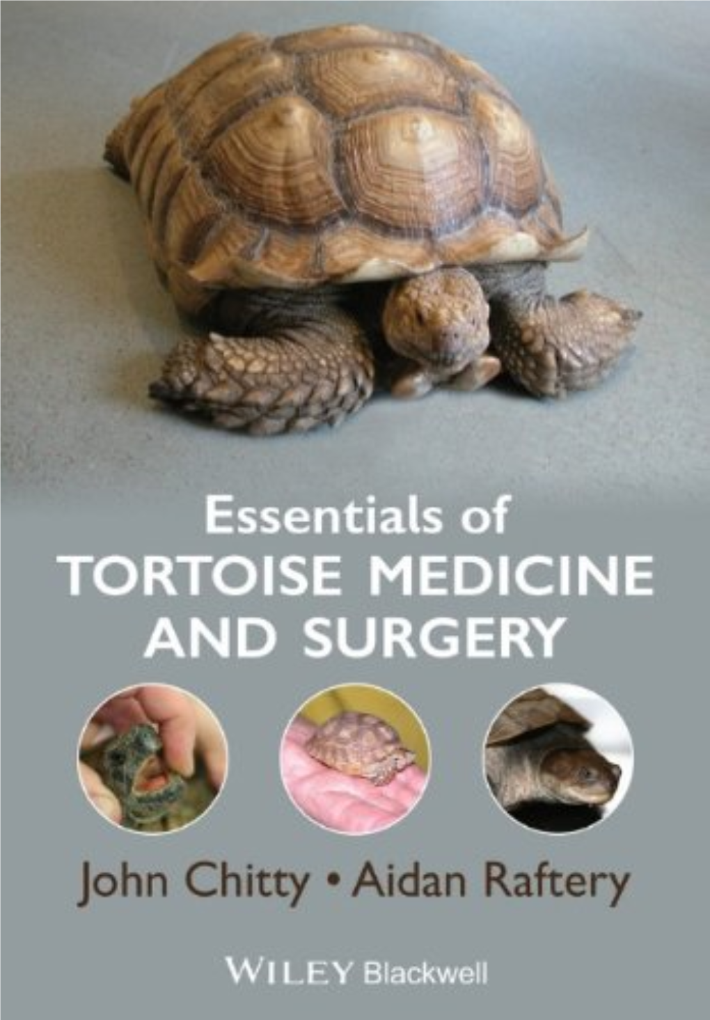 Essentials of Tortoise Medicine and Surgery John Chitty