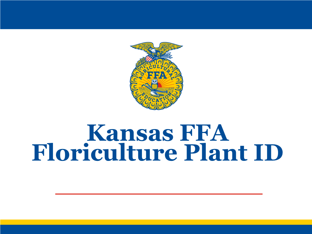 Kansas FFA Floriculture Plant ID