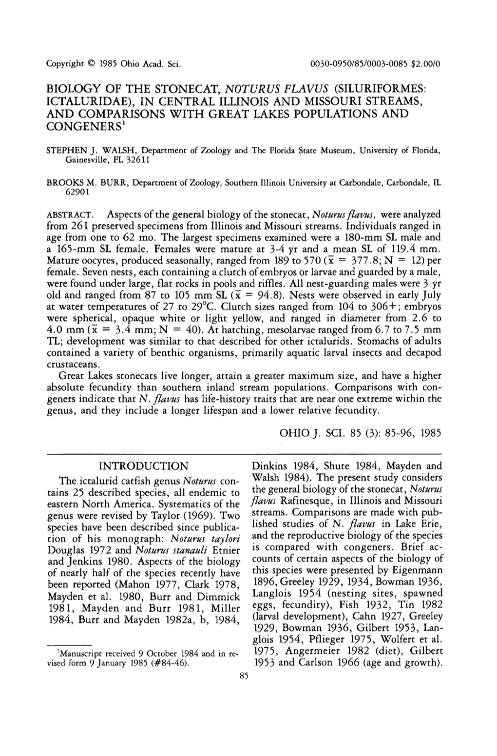 Biology of Stonecat, Noturus Flavus