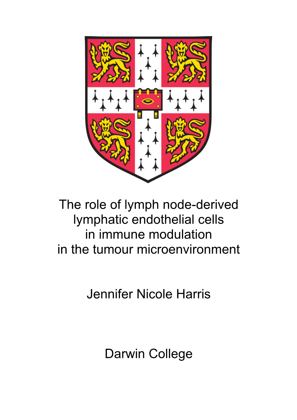 The Role of Lymph Node-Derived Lymphatic Endothelial Cells in Immune Modulation in the Tumour Microenvironment