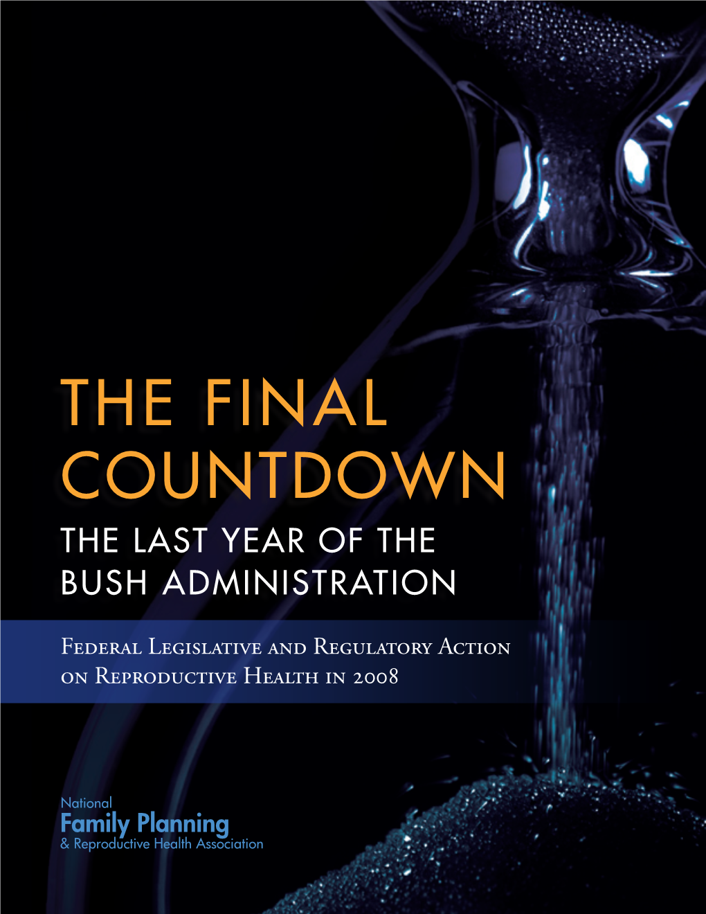 The Final Countdown the Last Year of the Bush Administration