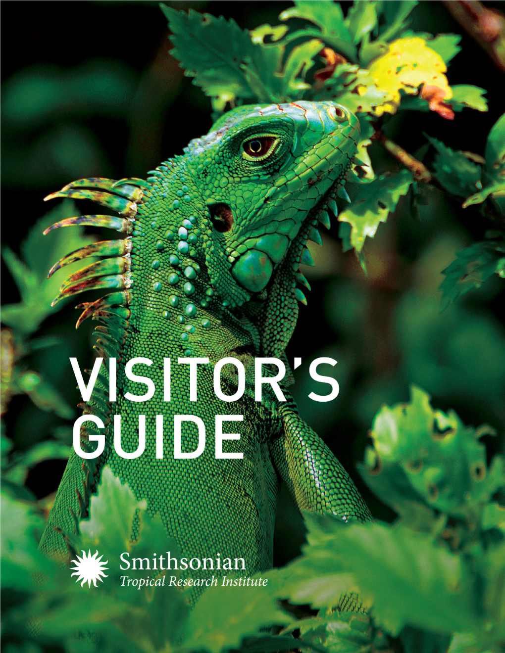 Visitors Guide