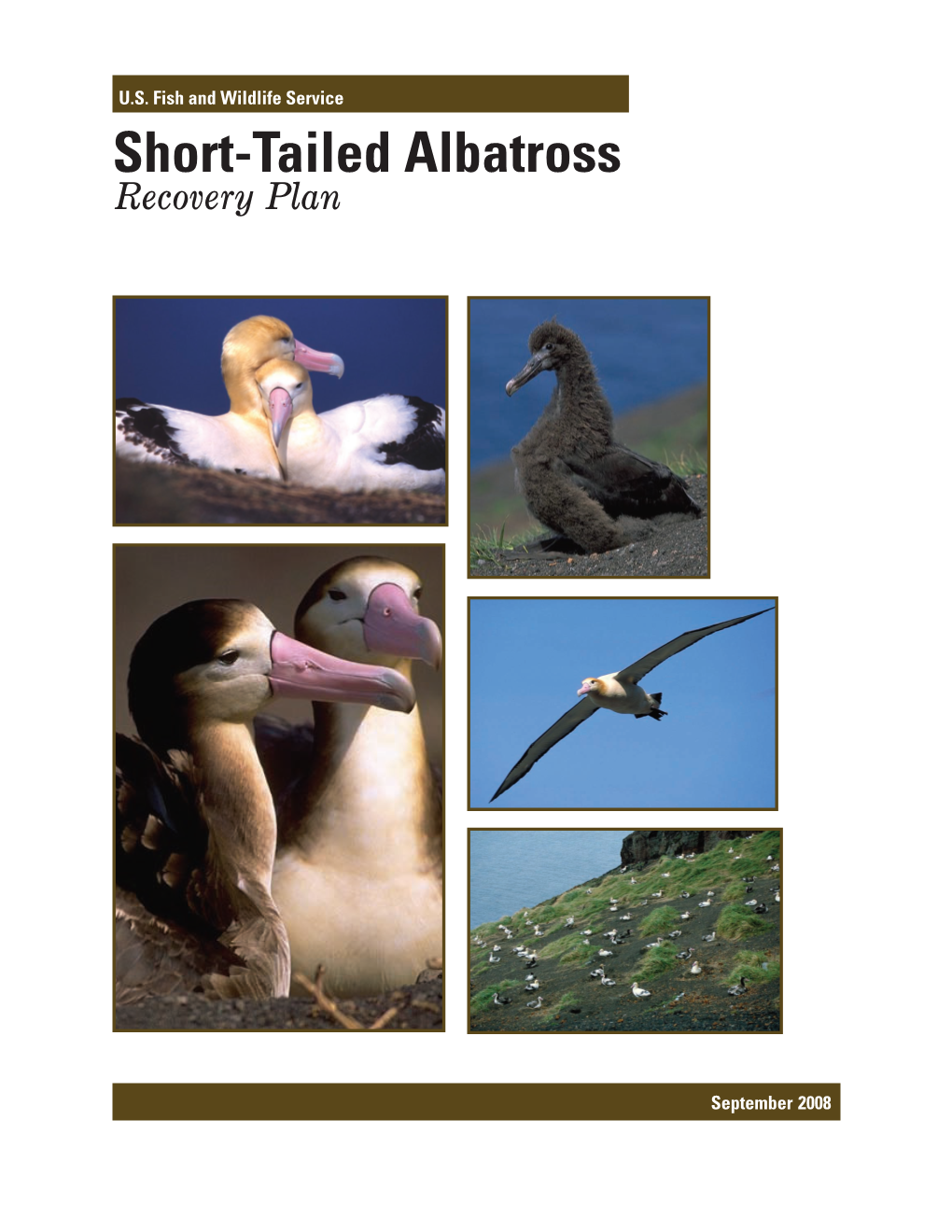 Short-Tailed Albatross Recovery Plan