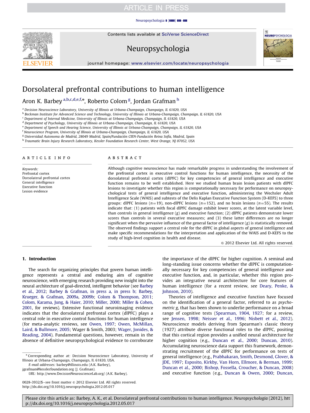 Dorsolateral Prefrontal Contributions to Human Intelligence