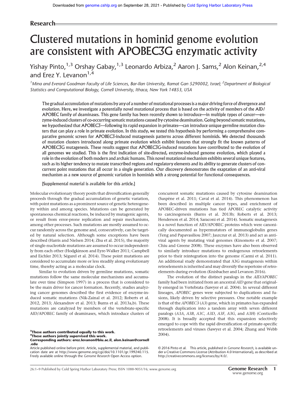 Clustered Mutations in Hominid Genome Evolution Are Consistent with APOBEC3G Enzymatic Activity