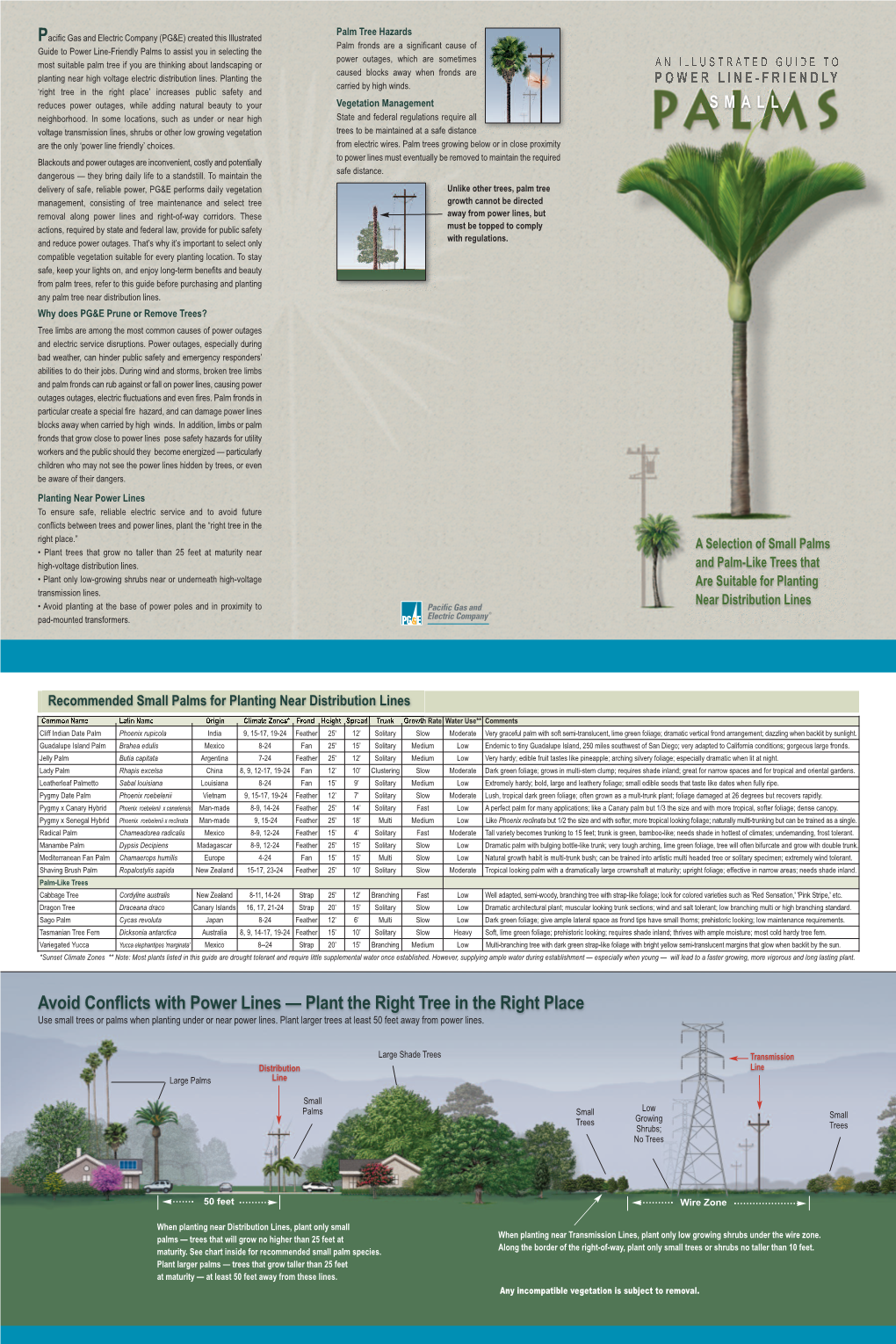 Avoid Conflicts with Power Lines — Plant the Right Tree in the Right Place Use Small Trees Or Palms When Planting Under Or Near Power Lines