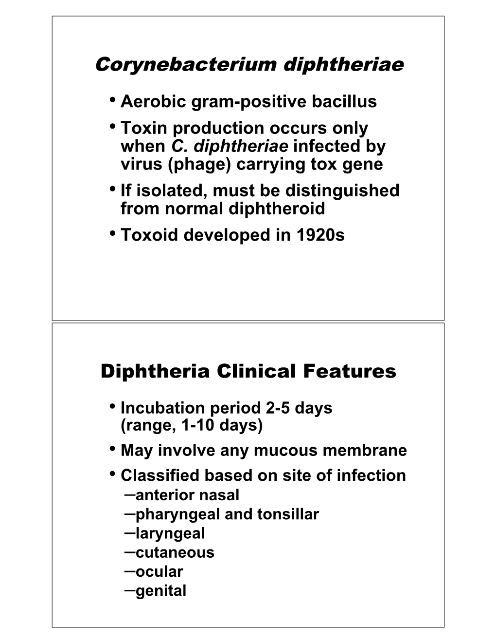 Corynebacterium Diphtheriae • Aerobic Gram-Positive Bacillus • Toxin Production Occurs Only When C