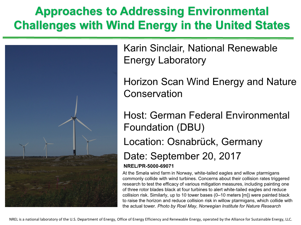 Approaches to Addressing Environmental Challenges with Wind Energy in the United States