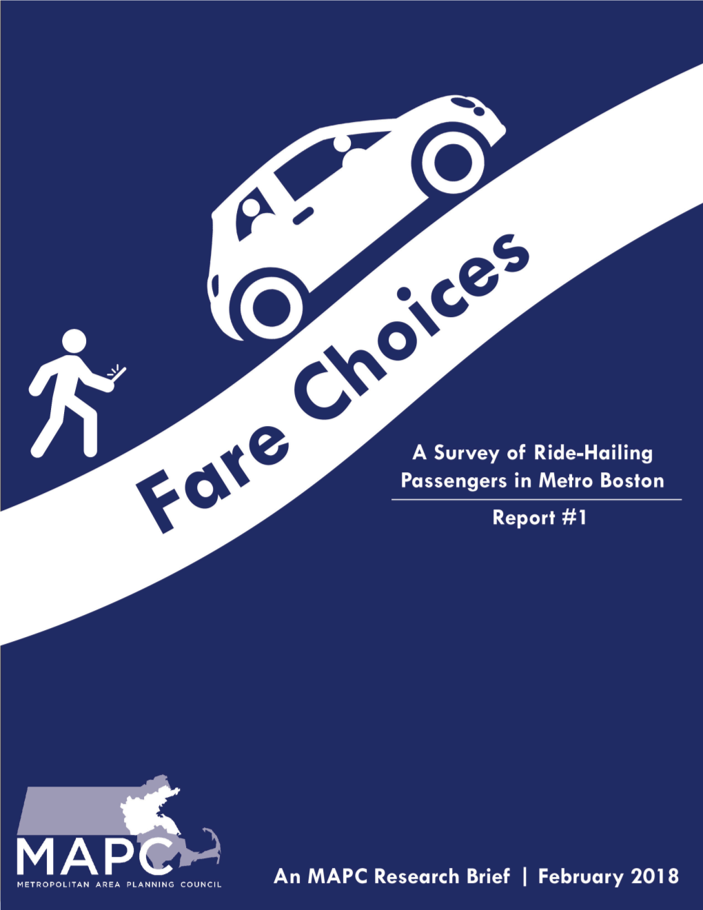 Fare Choices: a Survey of Ride-Hailing Passengers in Metro