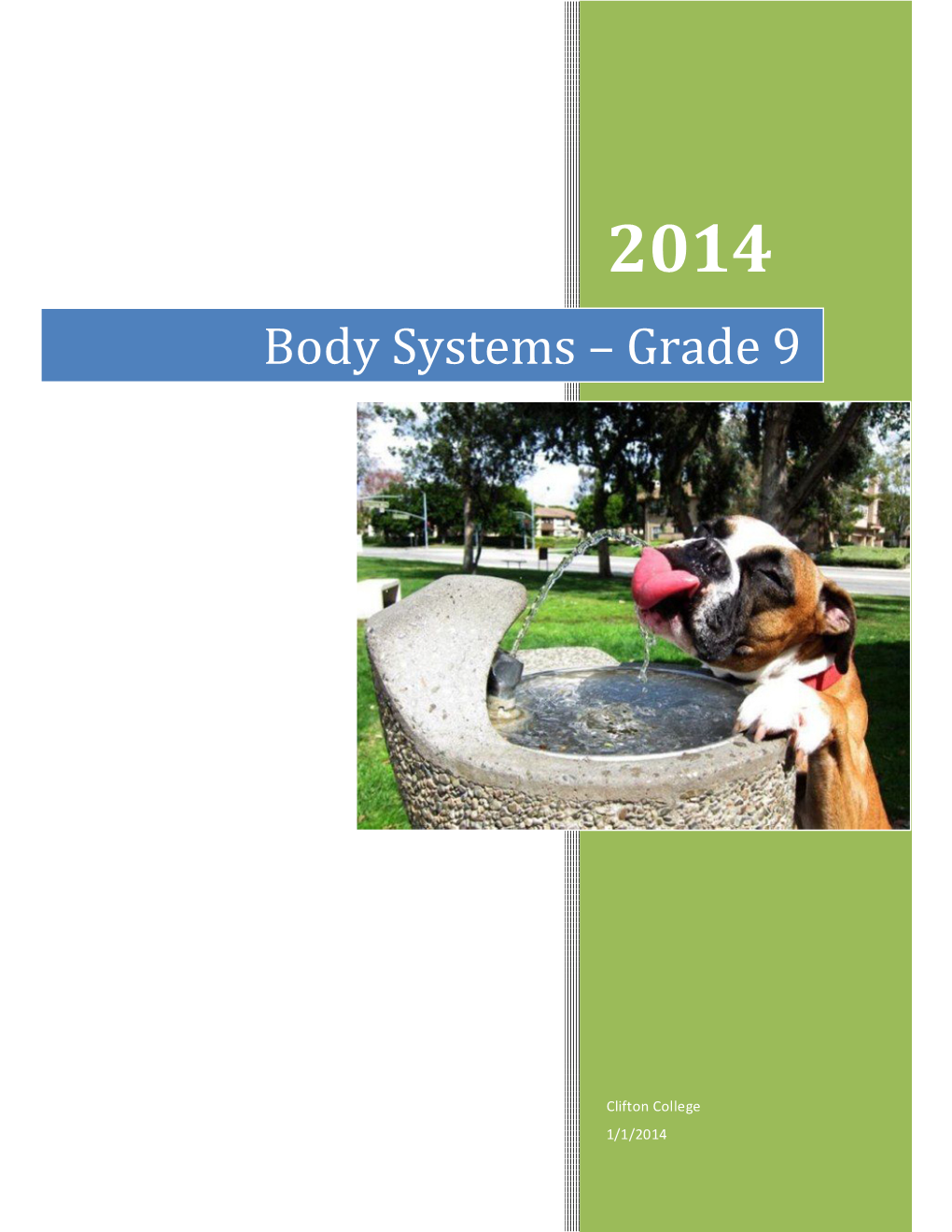 Grade 9 Natural Science Body System Notes