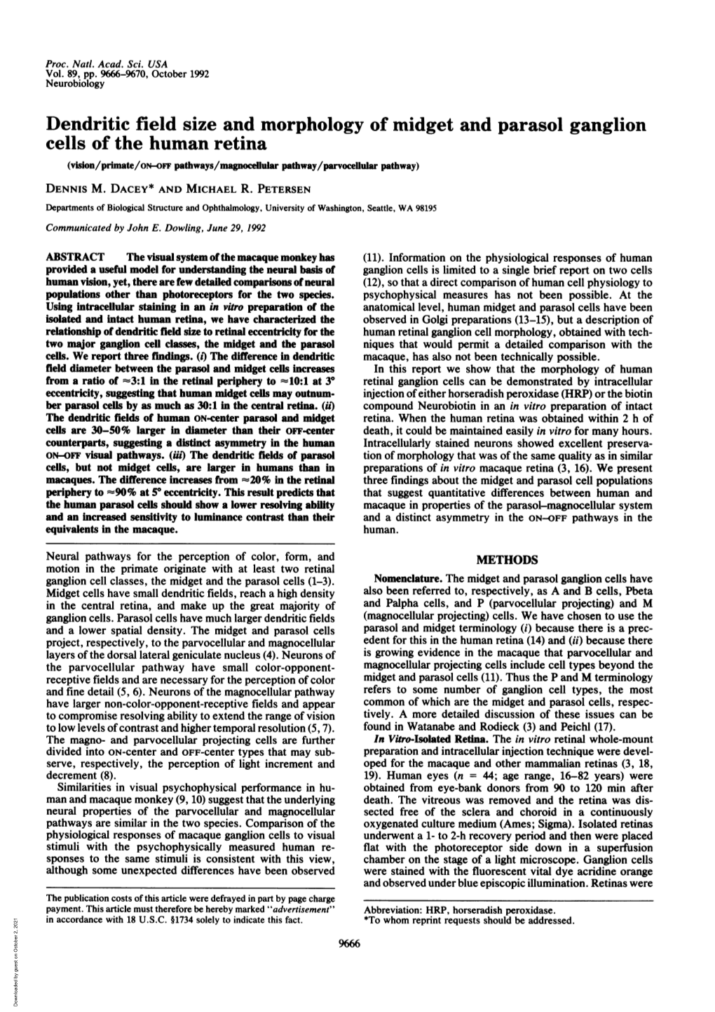 Dendritic Field Size and Morphology of Midget and Parasol Ganglion Cells