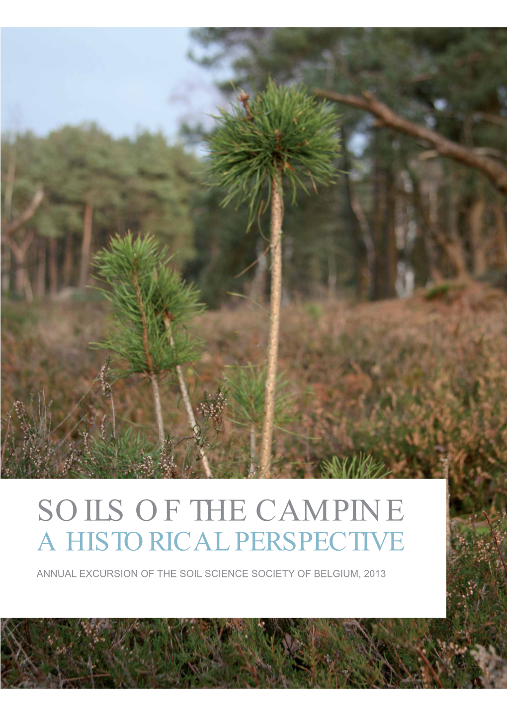 Soils of the Campine a Historical Perspective