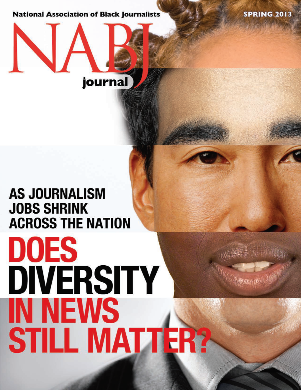 Nabj Journal Spr Final 2013.Pdf