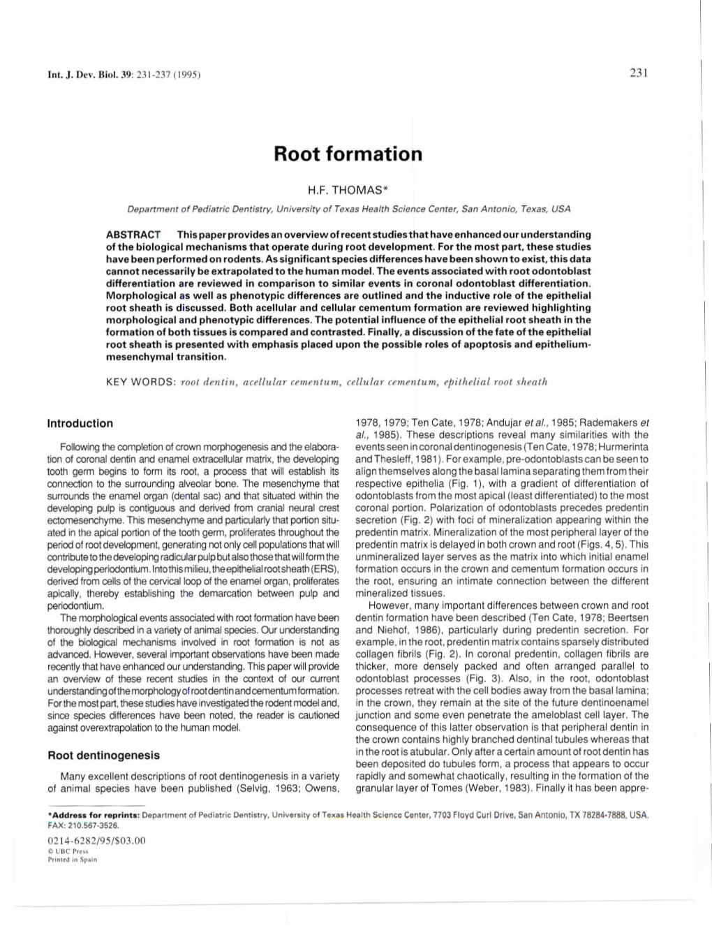 Root Formation