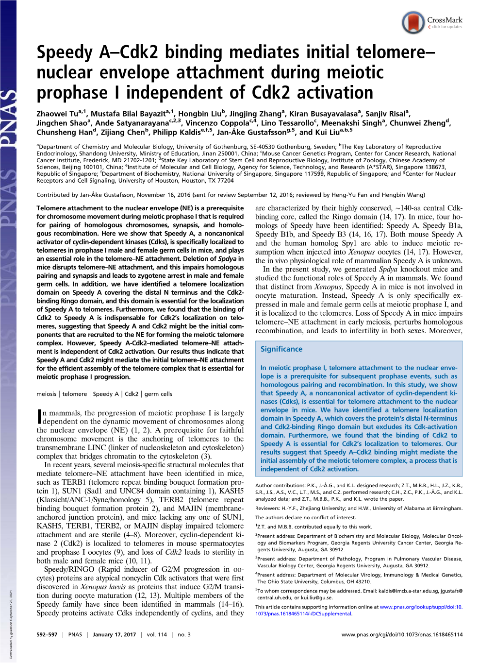 Speedy A–Cdk2 Binding Mediates Initial Telomere–Nuclear Envelope