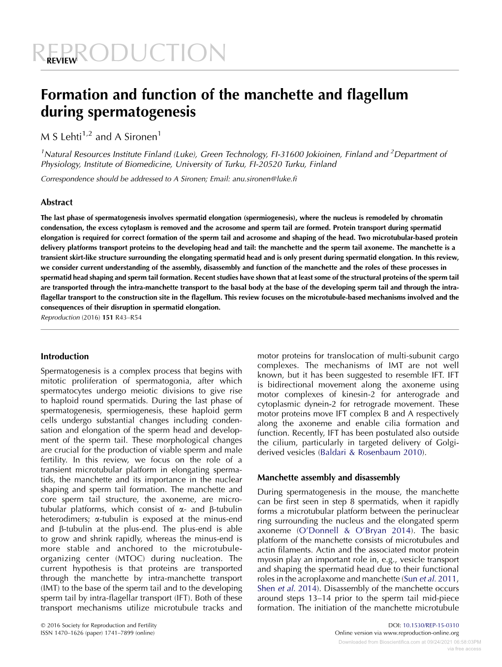 Formation and Function of the Manchette and Flagellum During