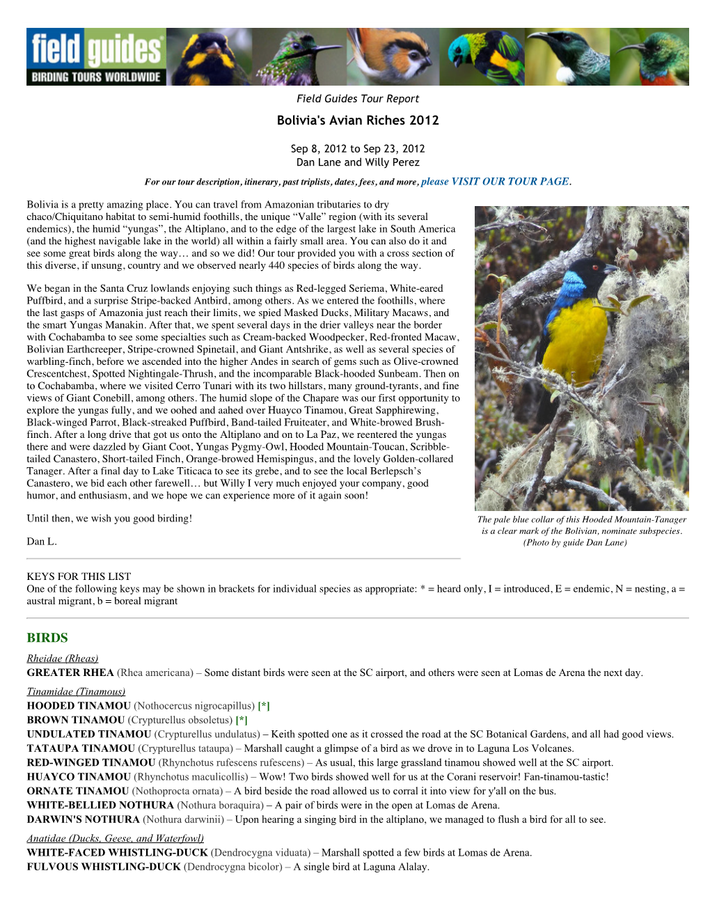 FIELD GUIDES BIRDING TOURS: Bolivia's Avian Riches 2012