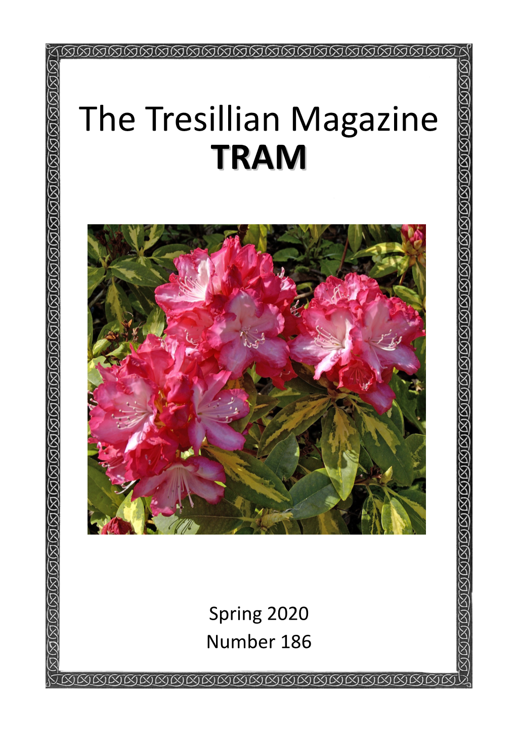 TRAM 186 Spring 2020