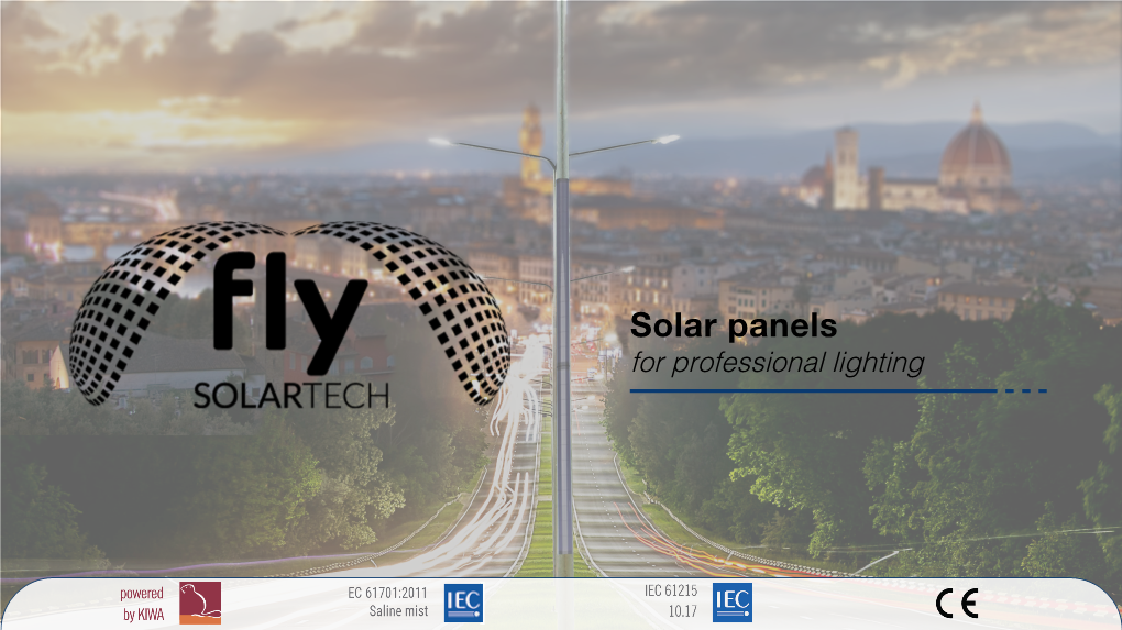 Solar Street Light Solutions – Solar Panels Lighting
