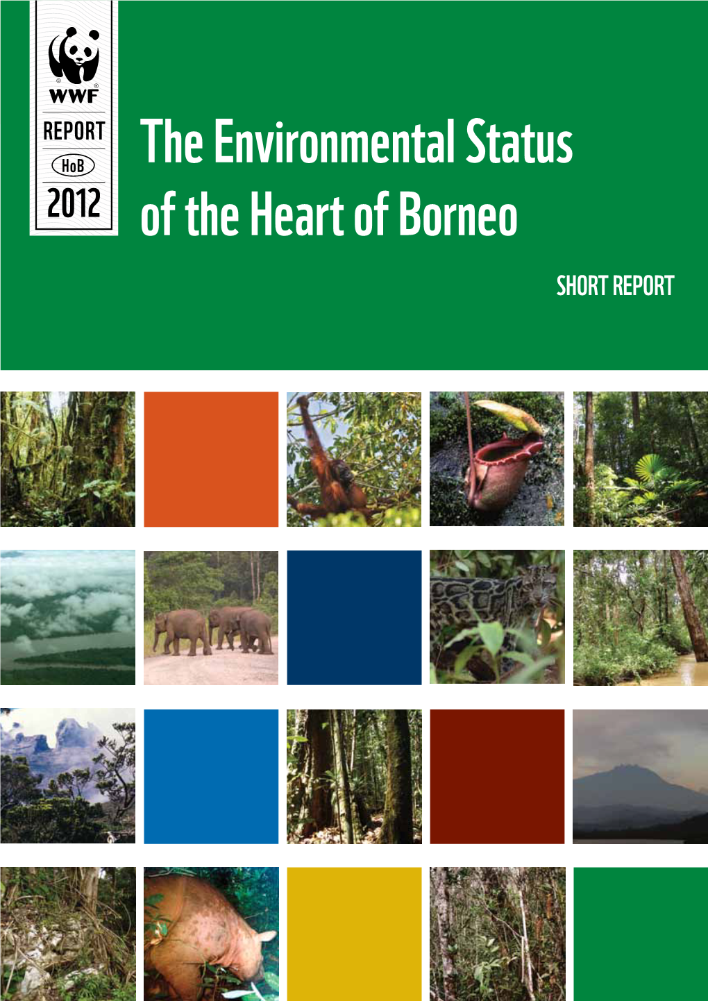The Environmental Status of the Heart of Borneo – Short Report the Hob Environmental Status Project