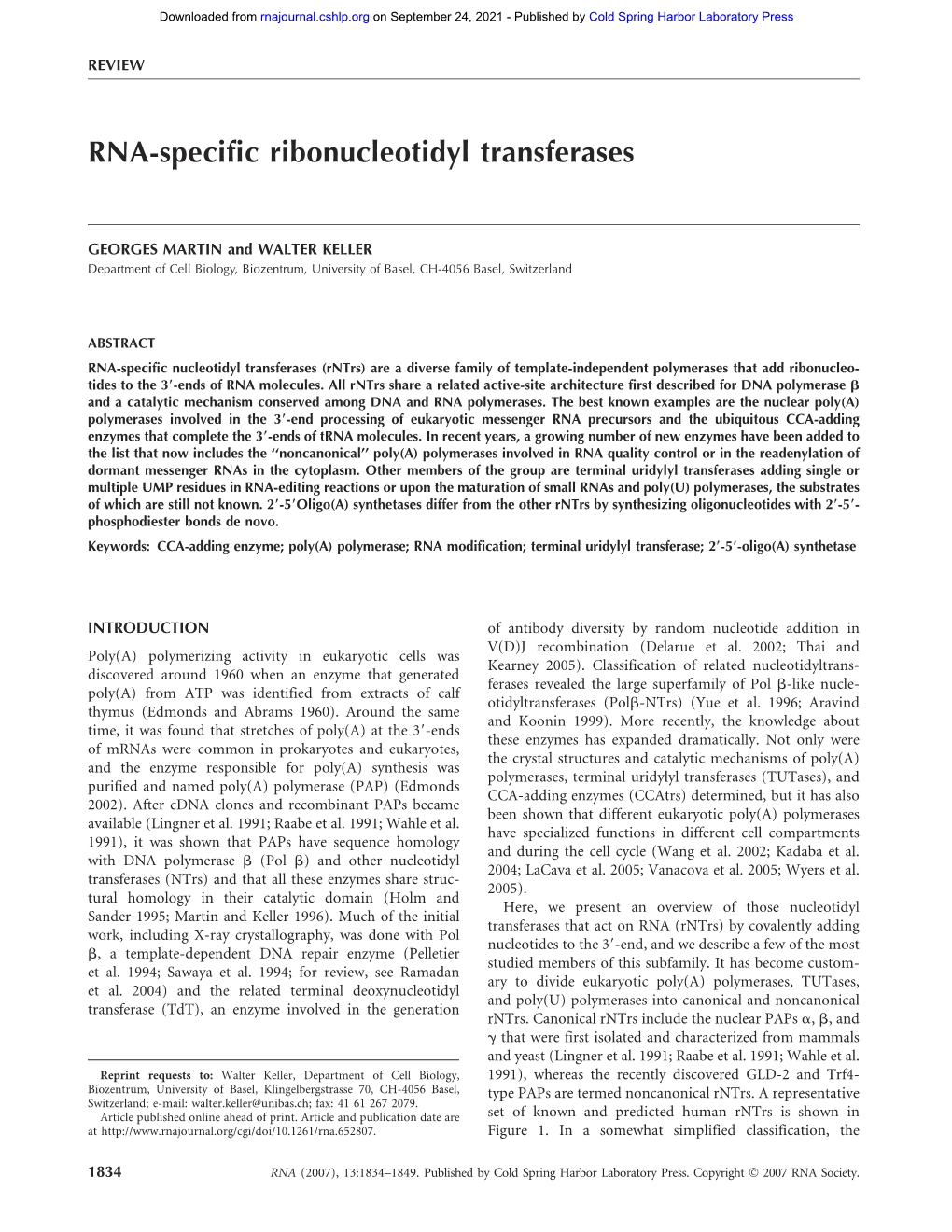 RNA-Specific Ribonucleotidyl Transferases