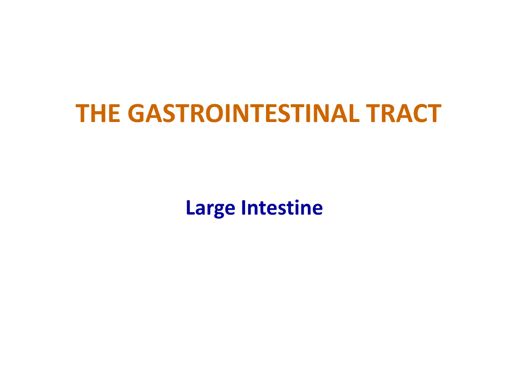 The Gastrointestinal Tract