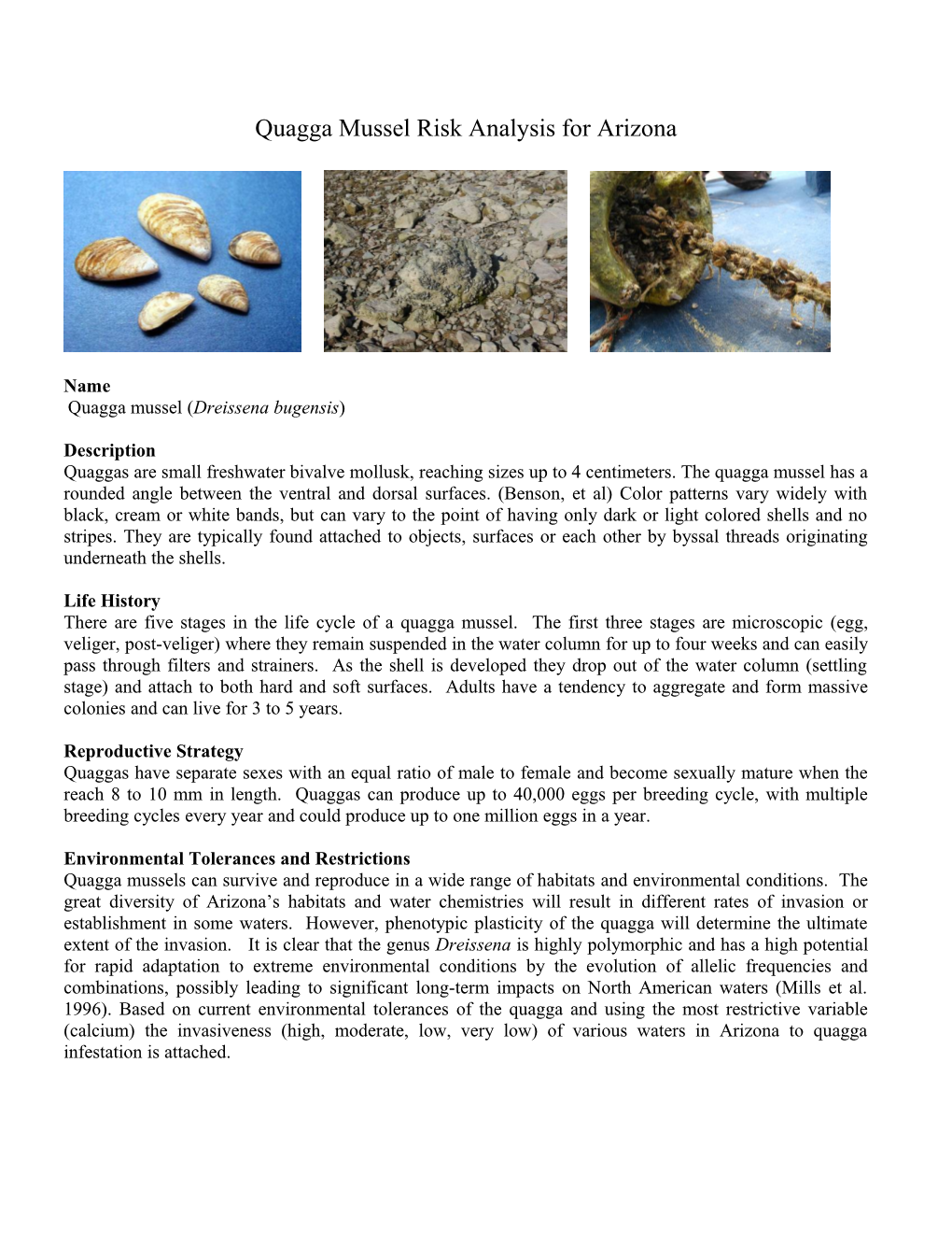 Quagga Mussel Risk Analysis For Arizona