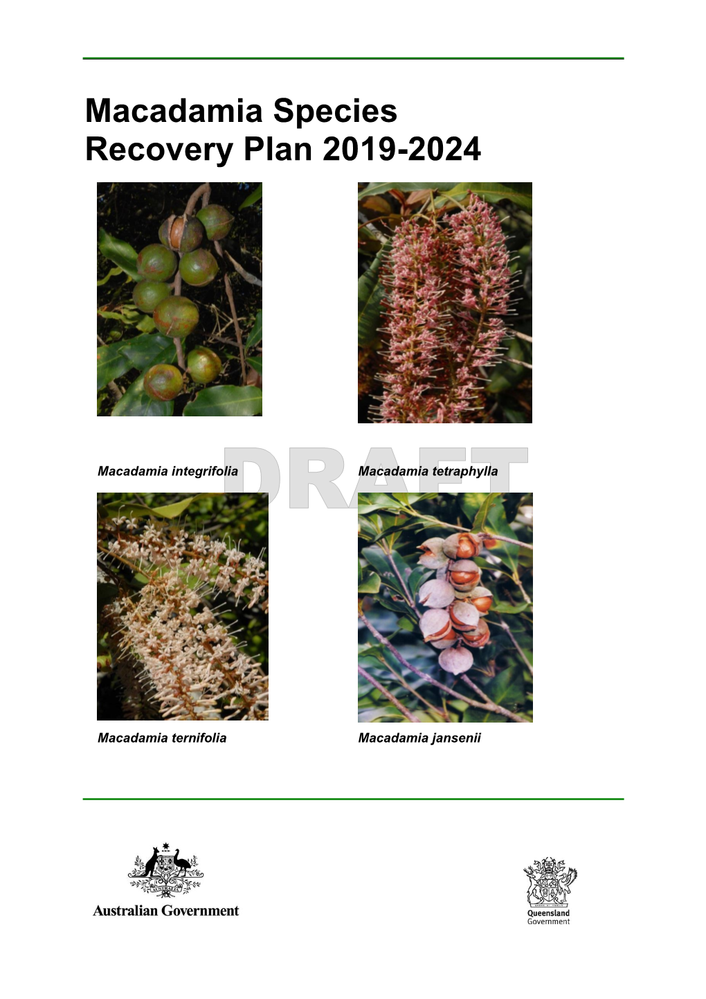 Draft Macadamia Species Recovery Plan 2019-2024