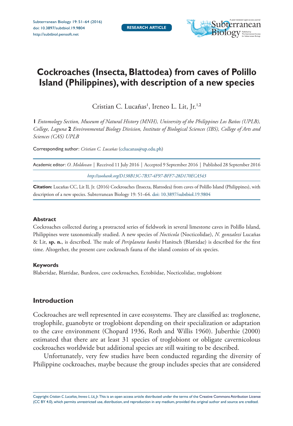 Cockroaches 19: 51–64 (2016) (Insecta, Blattodea) from Caves of Polillo Island (Philippines)