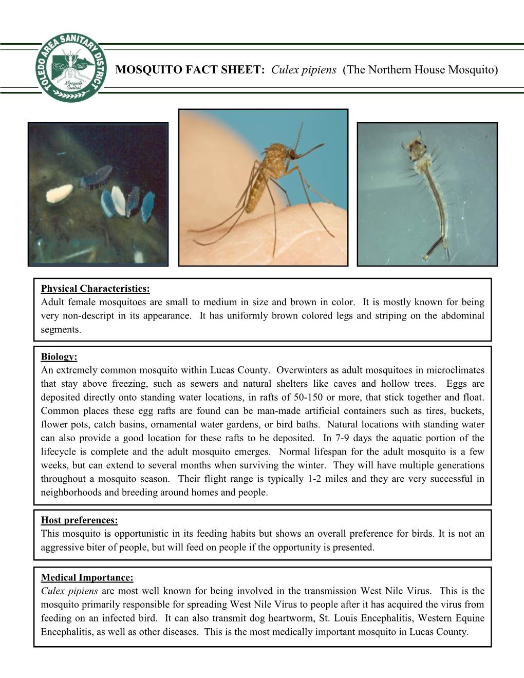 MOSQUITO FACT SHEET: Culex Pipiens (The Northern House Mosquito)