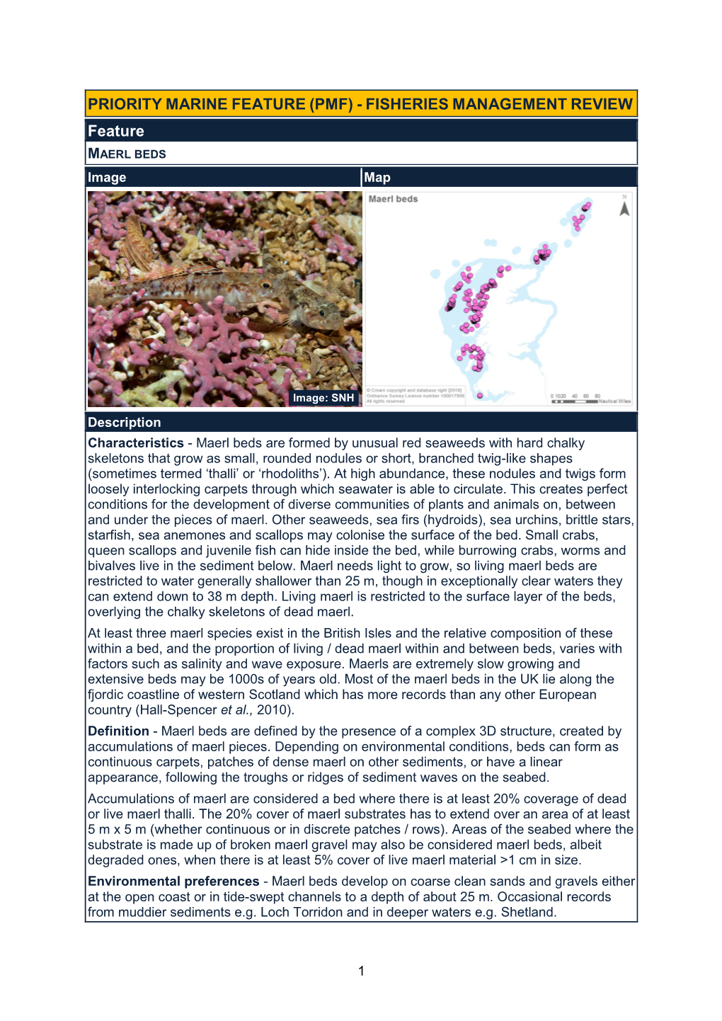(PMF) - FISHERIES MANAGEMENT REVIEW Feature MAERL BEDS Image Map