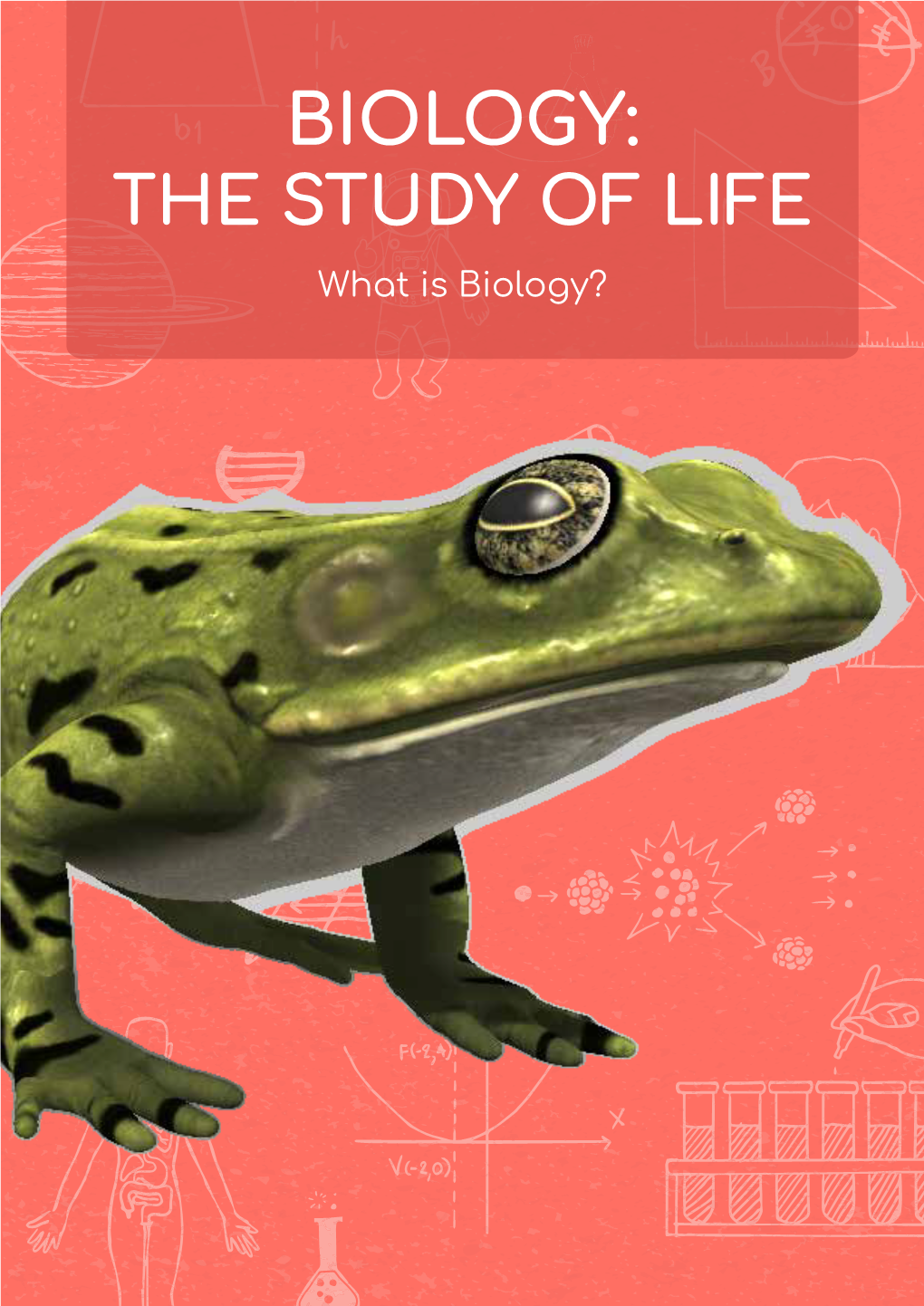 BIOLOGY: the STUDY of LIFE What Is Biology? Lesson Overview