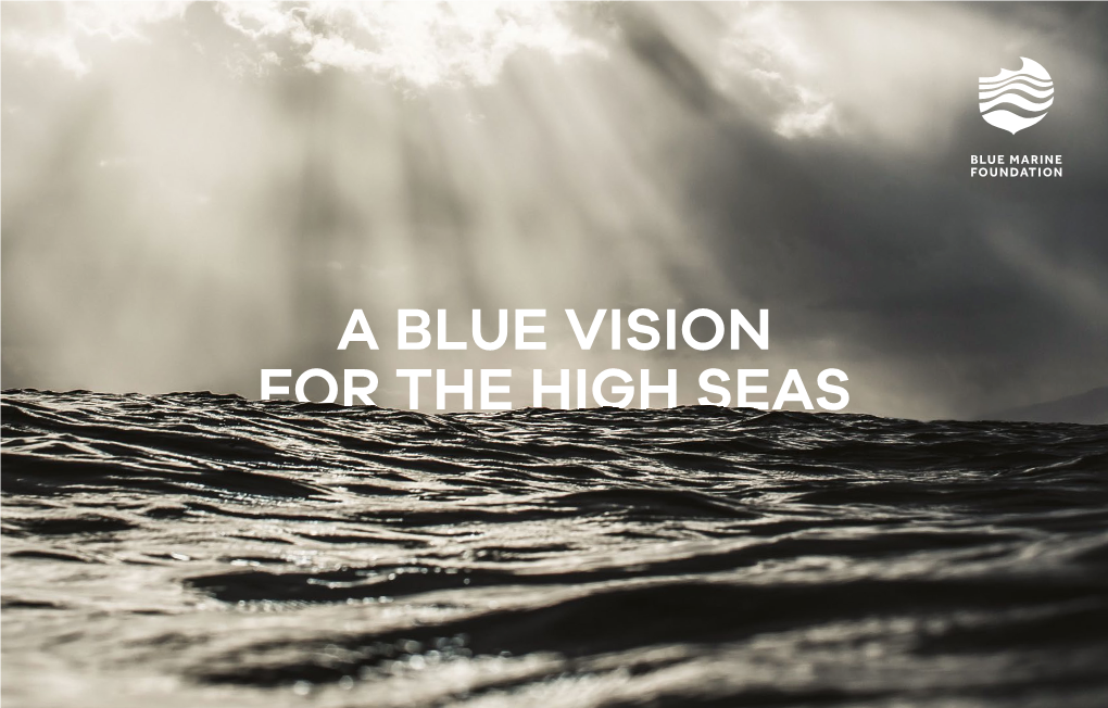 A Blue Vision for the High Seas Blue Marine Foundation