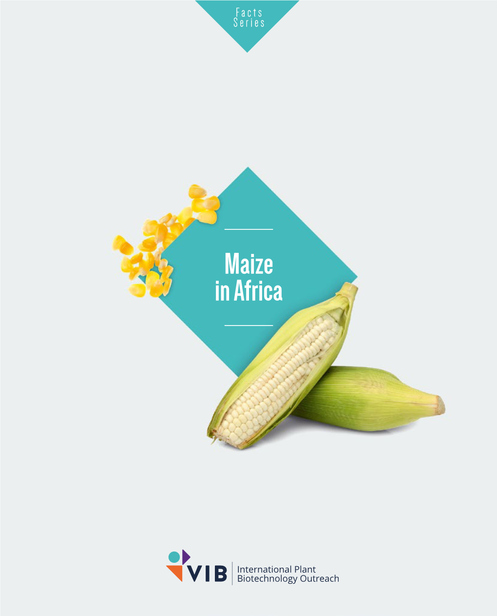 Download File Maize in Africa.Pdf