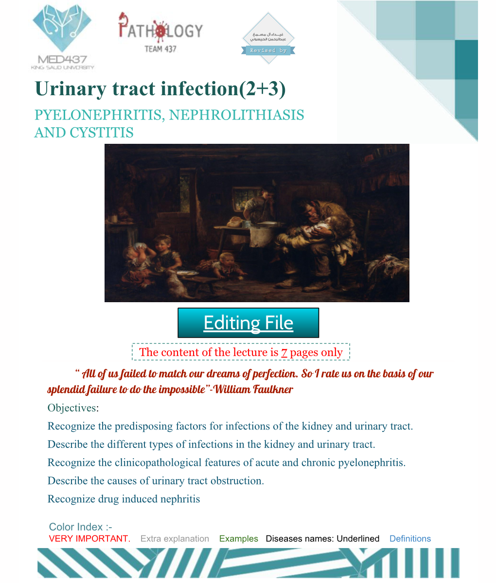 Urinary Tract Infection(2+3) PYELONEPHRITIS, NEPHROLITHIASIS and CYSTITIS